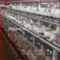 Poultry Layer Chicken Cage For Costa Rica Chicken Farms